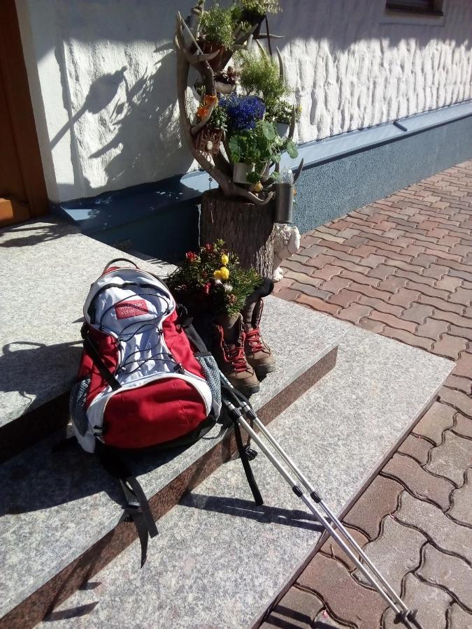 Haus Hoeller Kleinarl Eksteriør billede